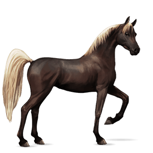 cheval de selle pure race espagnole palomino