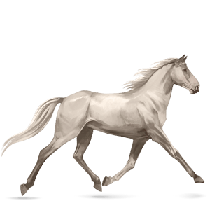 cheval de selle paint horse pie tobiano gris pommelé