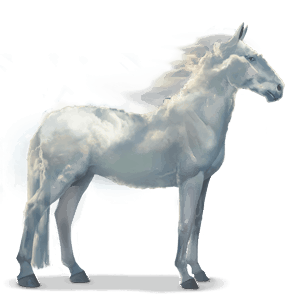 cheval de l'eau nuage