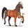cheval de selle pur-sang anglais alezan brûlé