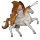 cheval de selle anglo-arabe bai