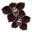 Echanges d'objets avec lou821 (je donne sur Gaïa, je reçois sur Ouranos) Orchidee-noire