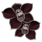 orchidee-noire.png?2094572599