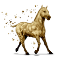 cheval de selle Élément terre