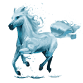 cheval de selle Élément eau