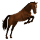 cheval de selle arabe gris pommelé