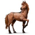 licorne de selle arabe alezan