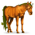 licorne de selle citrouille