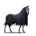 cheval de selle mors