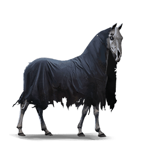 poney pégase mors