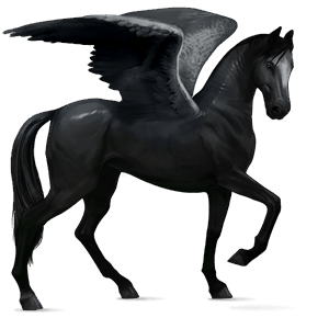 pégase de selle arabe gris clair