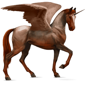 licorne de selle ailée marwari pie overo bai cerise