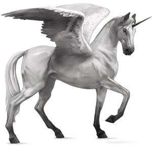 licorne de selle ailée marwari cremello