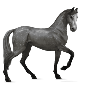 cheval de selle gris clair