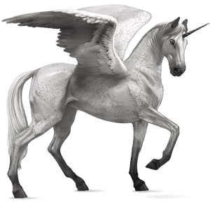licorne de selle ailée marwari pie tobiano gris souris