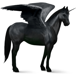 licorne de selle ailée frison noir
