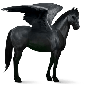 pégase de selle appaloosa noir