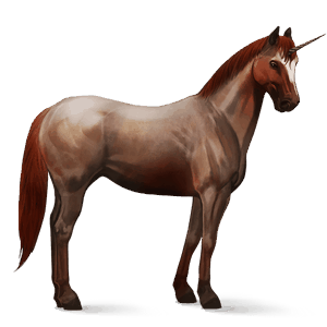 Âne licorne Âne commun blanc