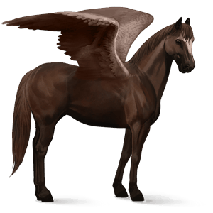 pégase de selle quarter horse alezan brûlé