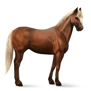 cheval de selle pure race espagnole alezan crins lavés