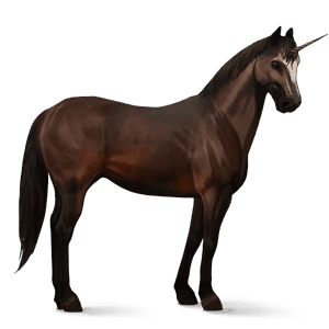 licorne de selle frison noir