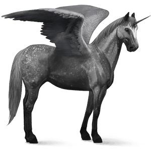 licorne de selle ailée paso péruvien gris pommelé