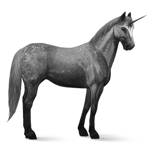 licorne de selle appaloosa leopard alezan