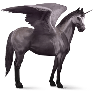 licorne de selle ailée paint horse pie tovero noir
