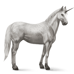 licorne de selle nokota rouan