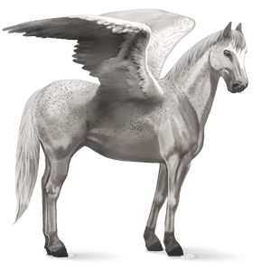 pégase de selle quarter horse gris clair