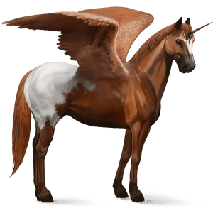 licorne de selle ailée appaloosa blanket alezan
