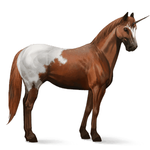 licorne de selle holstein alezan