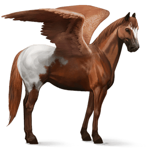 pégase de selle paint horse pie tobiano bai brûlé