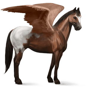 pégase de selle camargue gris clair
