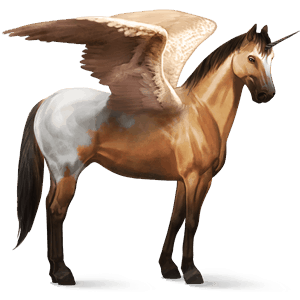 licorne de selle ailée appaloosa blanket isabelle
