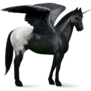 licorne de selle ailée appaloosa blanket noir
