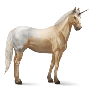 licorne de selle appaloosa blanket palomino
