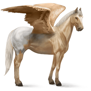 pégase de selle appaloosa blanket palomino