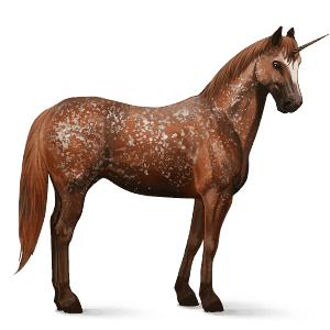 licorne de selle appaloosa snowflake alezan