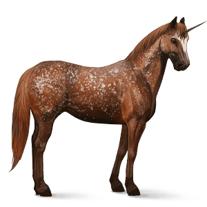 licorne de selle appaloosa snowflake bai