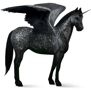 licorne de selle ailée akhal-téké alezan brûlé crins lavés