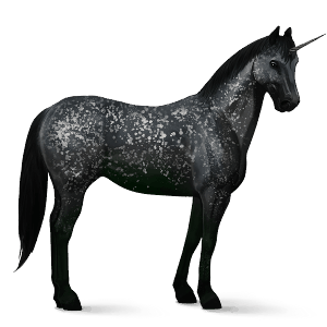 licorne de selle appaloosa spotted bai