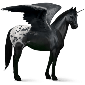 licorne de selle ailée mustang spotted noir