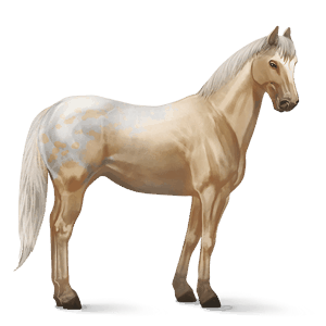 cheval de selle criollo argentin alezan crins lavés