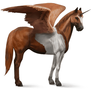 licorne de selle ailée akhal-téké bai cerise