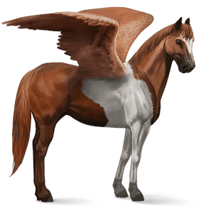 pégase de selle paint horse pie tobiano bai
