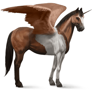 licorne de selle ailée criollo argentin pie tobiano bai