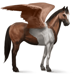 pégase de selle paint horse pie tobiano bai