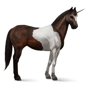 licorne de selle paint horse pie noir tobiano
