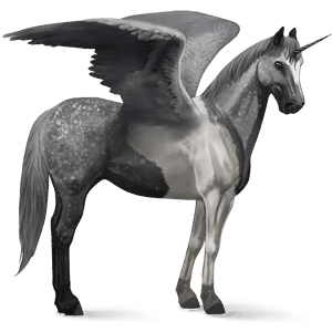licorne de selle ailée pie tobiano bai